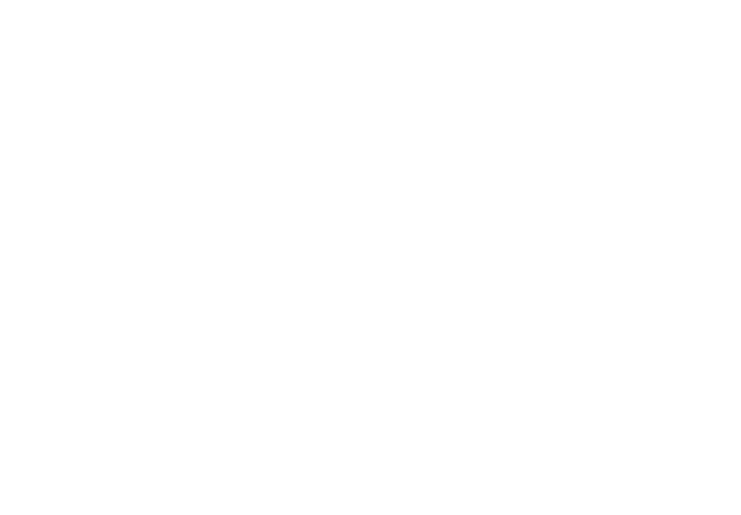 logo light